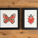 Insects Mixed Media Painting. Ilustração tradicional, e Artesanato projeto de Analia Magu - 15.07.2024