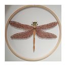 My project for course: Tulle Embroidery with Natural Flowers and Plants Ein Projekt aus dem Bereich Stickerei, DIY, Blumen- und Pflanzendesign und Textildesign von Florar Tisane - 07.07.2024