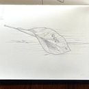 My project for course: Illustrated Diary: Fill Your Sketchbook with Experiences Ein Projekt aus dem Bereich Traditionelle Illustration, Skizzenentwurf, Zeichnung und Sketchbook von Maja Jensen - 01.07.2024