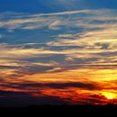 Mi proyecto del curso: Del diario personal al relato de no ficción . % Nuria PD tarafından hazırlanan Yazma, Hika, e anlatımı, Anlatı, Kurgu Dışı Yazım, Ve Yaratıcı Yazarlık projesi - 07.18.2024