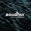 AquaAnui Ein Projekt aus dem Bereich Br, ing und Identität und Produktdesign von Leggera Creative - 19.07.2024