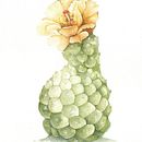 Mi proyecto del curso: Ilustración botánica en acuarela: Técnica del sombreado a rayas. Un projet de Beaux Arts, Peinture, Aquarelle et Illustration botanique de Veronica Quercia - 19.07.2024