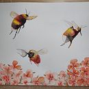 La ronda de las abejas. Un proyecto de Ilustración tradicional, Pintura e Ilustración naturalista				 de Cristina Latorre Achury - 03.07.2024