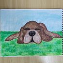 não tenho portfólio. Apenas quero aprender e desenvolver um dom.. Un progetto di Disegno di ritratti, Disegno con matite colorate, Pittura ad acquerello, Illustrazione digitale, Disegno a matita e Teoria del colore di Anaisa OP - 22.07.2024