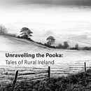 Unravelling the Pooka: Tales of Rural Ireland. Un progetto di Intelligenza Artificiale e Progettazione con IA di Brian Mulhall - 20.07.2024