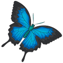 dog tag for kids. Un progetto di Creatività di camillaflynn60 - 28.12.2023