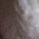Textured Textile Design. Un progetto di Textile Design di Fern Slater-Walters - 26.07.2024