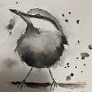 My project for course: Artistic Watercolor Techniques for Illustrating Birds . Ilustrasi tradisional, Lukisan Cat Air, Gambar Realistis & Ilustrasi Naturalistik proyek oleh S Karinsen - 07.27.2024