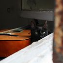 Mi proyecto del curso: Fotografía para principiantes: descubre tu cámara digital. Fotografia, Fotografia digital, e Composição fotográfica projeto de Melanie Siré - 28.07.2024