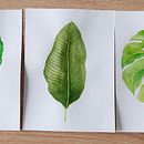 Mój projekt z kursu: Nadruki botaniczne techniką akwareli. Traditional illustration, Pattern Design, Watercolor Painting, and Botanical Illustration project by Magdalena G-W - 07.30.2024