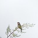 ACTUALES. Un proyecto de Fotografía de cnciam4133 - 30.07.2024