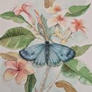 Meu projeto do curso: Aquarela realista para composições botânicas . Un projet de Illustration traditionnelle, Peinture, Dessin, Aquarelle et Illustration botanique de Andrea Tostes - 31.07.2024