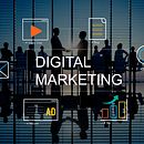 SEO Services for Small Business and Content Writing. Een project van SEO,  Reclame y  Ontwerp van robertsmith8859 - 02.08.2024