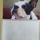 Meu primeiro esboço como exercício do curso de retratos de pet a lápis de cor.. Un progetto di Disegno a matita, Disegno realistico e Disegno di ritratti di Anaisa OP - 31.07.2024