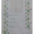 Meu projeto do curso: Design de espaços verdes para sua casa. Un projet de Pa, sagisme, Art floral et végétal , et Design d'espace de Rose Oliveira - 02.08.2024