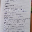 Naming Final: Rethine . Advertising, Br, ing, Identit, Creative Consulting, Design Management, and Naming project by Candela Lillo - 08.06.2024