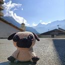 Il mio progetto del corso: Tecniche di uncinetto: crea i tuoi amigurumi . Arte și meșteșuguri, Design de jucării, Arte din fibre, DIY, Croșetat, Amigurumi și Design textil de arianna_trabattoni - 08.07.2024