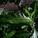 Fotografía oscura. Un progetto di Fotografia di glinpaor - 07.08.2024