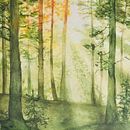 My project for course: Dreamy Watercolor Landscapes: Paint with Light. Pintura, e Pintura em aquarela projeto de tvasilenko - 09.08.2024