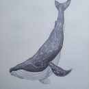 My project for course: Naturalist Illustration Techniques: Whales in Watercolor. Een project van  Beeldende kunst, Schilderij, Aquarelschilderen y Naturalistische illustratie van cucira - 11.08.2024