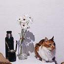 Mi proyecto del curso: Fotografía y vídeo profesional con tu móvil Ein Projekt aus dem Bereich Smartphonefotografie, Instagram, Fotografie für Instagram, Lifest und le-Fotografie von Camila Catalano Juanena - 11.08.2024