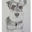 My project for course: Pet Portraits in Colored Pencils. Un progetto di Illustrazione tradizionale e Illustrazione naturalistica di Lourdes Ramírez Fuentes - 11.08.2024