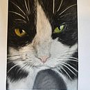 Pastellkreide Katze. Painting project by j_koroneko - 08.12.2024