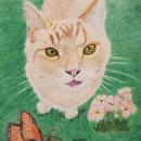 Pets - Colored Pencils . % Diane Ackley tarafından hazırlanan Güzel sanatlar, Geleneksel illüstras, on, Çizim, Ve Gerçekçi Çizim projesi - 03.27.2023