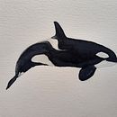My project for course: Naturalist Illustration Techniques: Whales in Watercolor. Projekt z dziedziny  Sztuki piękne,  Malarstwo, Malowanie akwarelą, Ilustracja naturalist i czna użytkownika liya_volpi - 21.08.2024