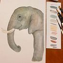 Elefante  Ein Projekt aus dem Bereich Aquarellmalerei von CatitArt - 09.08.2024