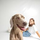 #FotosPerras🐶 . Fotografia, Fotografia de retrato, Fotografia de estúdio, Fotografia de interiores, Fotografia documental, Fotografia Lifest, e le projeto de Tomás MC - 23.08.2024