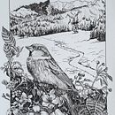 My project for course: Dip Pen and Ink Illustration: Capturing The Natural World. Un progetto di Bozzetti, Disegno, Disegno artistico, Sketchbook, Illustrazione con inchiostro e Illustrazione naturalistica di petrinadeanne - 24.08.2024