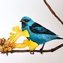 Meu projeto do curso: Pintura em aquarela: arte de aves e fauna naturalista. Projekt z dziedziny  Sztuki piękne, R, sunek ołówkiem,  R, sunek, Malowanie akwarelą, R, sunek realist, czn, Ilustracja naturalist i czna użytkownika ceciliaapcosta - 27.08.2024