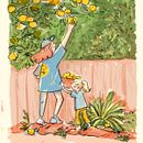 Grapefruit Picking  . % Claire tarafından hazırlanan Dijital İllüstras, on, Çocuk İllüstras, Ve onu projesi - 08.04.2024
