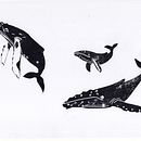 My project for course: Carved Stamps for Illustrated Compositions. Un progetto di Illustrazione tradizionale, Artigianato, Belle arti e Stampa di Denise DESENEPART - 29.08.2024