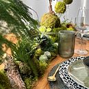 Mi proyecto del curso: Kokedamas: crea macetas naturales de musgo. Un projet de Artisanat, Design d'intérieur, Pa, sagisme, Décoration, DIY , et Art floral et végétal de Grismeiry Aza de Nippe - 01.09.2024