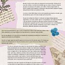 Emigrar de la zona de confort. Writing project by Laura García Racciatti - 08.02.2023