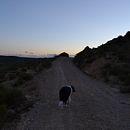 Cosas Ein Projekt aus dem Bereich Traditionelle Illustration von Sara Pallés - 03.09.2024