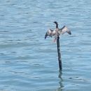 My project for course: Beginner’s Photography: Basic Camera Use and Theory. Een project van Fotografische compositie, Fotografie y Digitale fotografie van abrahams967707 - 04.09.2024