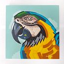 Mi proyecto del curso: Pintura acrílica estilizada: explora el color y la forma Ein Projekt aus dem Bereich Malerei mit Acr, l und Malerei von Diana Rocio Martinez C - 05.09.2024