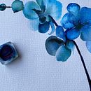 Ilustraciones varias en acuarela Ein Projekt aus dem Bereich Naturalistische Illustration und Botanische Illustration von Maria Eugenia Dudok Gonnet - 06.09.2024