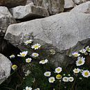 My project for course: Beginner’s Photography: Basic Camera Use and Theory. Photographic Composition, Photograph, and Digital Photograph project by Stella B - 09.07.2024