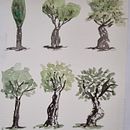 Mi proyecto del curso: Dibujo para principiantes nivel -1 Ein Projekt aus dem Bereich Bleistiftzeichnung, Zeichnung, Kreativität mit Kindern und Sketchbook von merbe66 - 08.09.2024