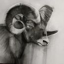Mi proyecto del curso: Dibujo expresivo con carboncillo. Projekt z dziedziny  R, sunek,  Sztuki piękne, Portret, Ilustracja naturalist i czna użytkownika eduafuert - 08.09.2024