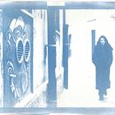 My project for course: Cyanotype: Printing with Light. Arts, Crafts, Fine Arts, Printing, Film Photograph, and DIY project by Pieppo Arru PH - 09.10.2024