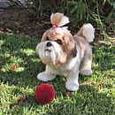 Meu projeto do curso: Criação de animais com needle felting. Un progetto di Artigianato, Design di giocattoli, Fiber Art, Needle felting e Textile Design di Maria João Correia dos Santos - 10.09.2024