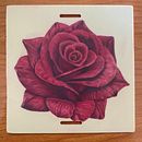 Mi proyecto del curso: Tatuaje artístico full color. Digital Drawing, Digital Illustration, Drawing, Traditional illustration, and Tattoo Design project by Alejandro Tabares Morales - 08.09.2024