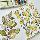 Técnicas aplicadas de ilustración en acuarela Ein Projekt aus dem Bereich Traditionelle Illustration, Bildende Künste, Malerei und Aquarellmalerei von lymondas - 13.09.2024