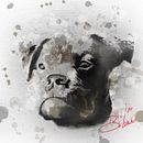 Procreate Digital Art. Un proyecto de Bellas Artes de Bill De Loach - 13.09.2024