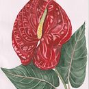 Botanical Watercolor: Illustrate the Anatomy of Flowers. Watercolor Painting, Painting, Botanical Illustration, Textile Printing, Floral, and Plant Design project by Iryna Kravchuk - 09.13.2024